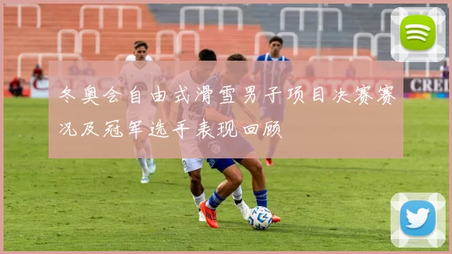 冬奥会自由式滑雪男子项目决赛赛况及冠军选手表现回顾