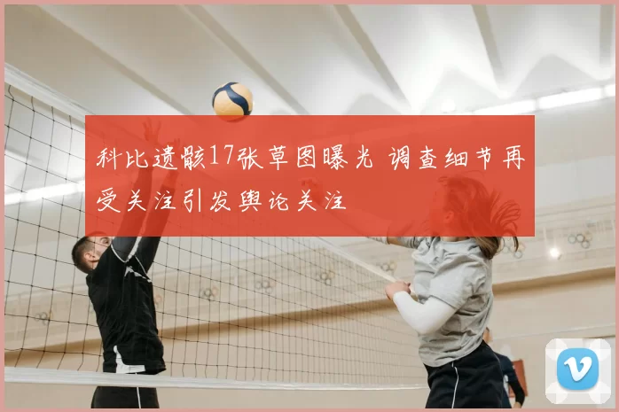 科比遗骸17张草图曝光 调查细节再受关注引发舆论关注