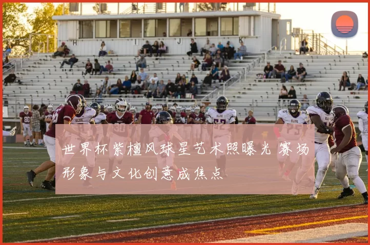 世界杯紫檀风球星艺术照曝光 赛场形象与文化创意成焦点