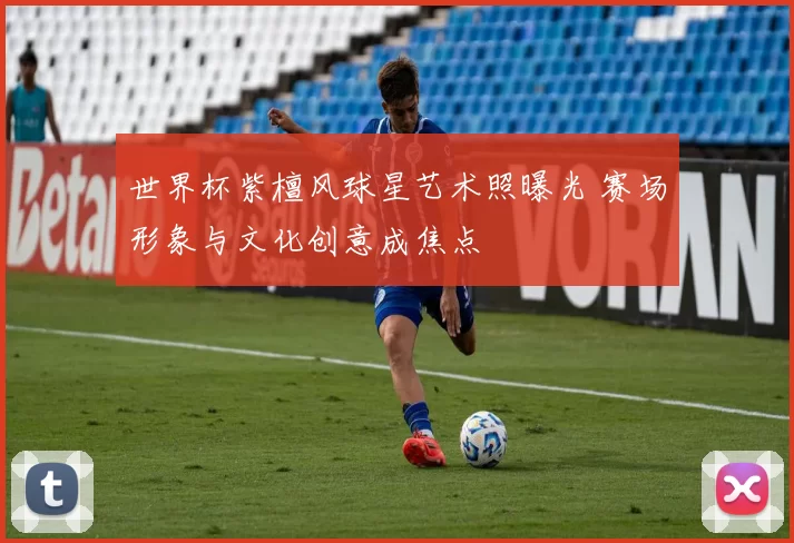 世界杯紫檀风球星艺术照曝光 赛场形象与文化创意成焦点