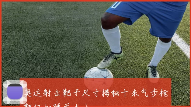 奥运射击靶子尺寸揭秘十米气步枪靶仅如硬币大小