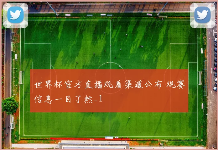 世界杯官方直播观看渠道公布 观赛信息一目了然_1